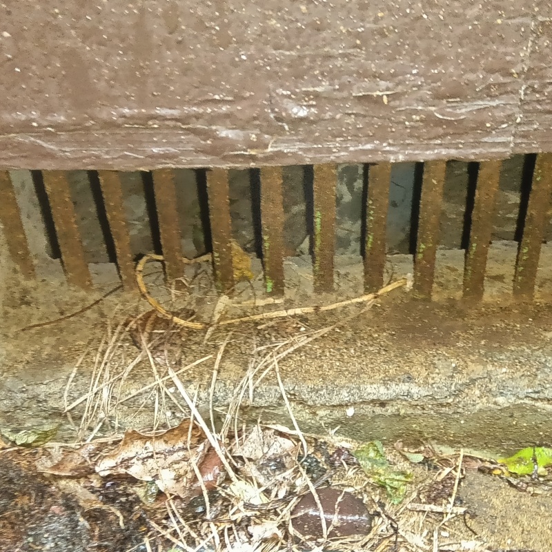 侵入口になっていた床下換気口