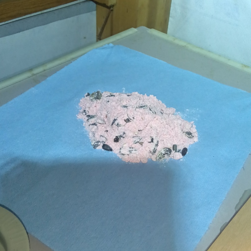 天井裏に殺鼠剤を設置