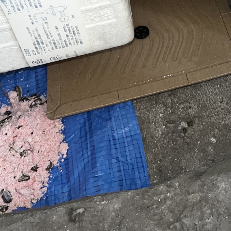 パイプスペース内に殺鼠剤と粘着シートを設置