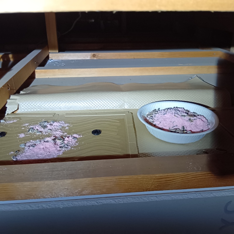 ネズミが殺鼠剤を食べたあと