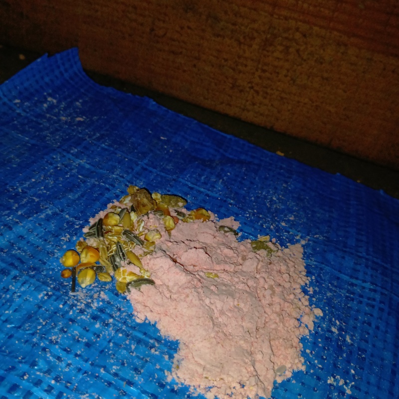 殺鼠剤を設置