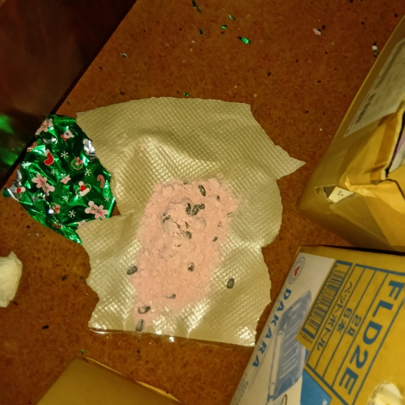 床に殺鼠剤を設置