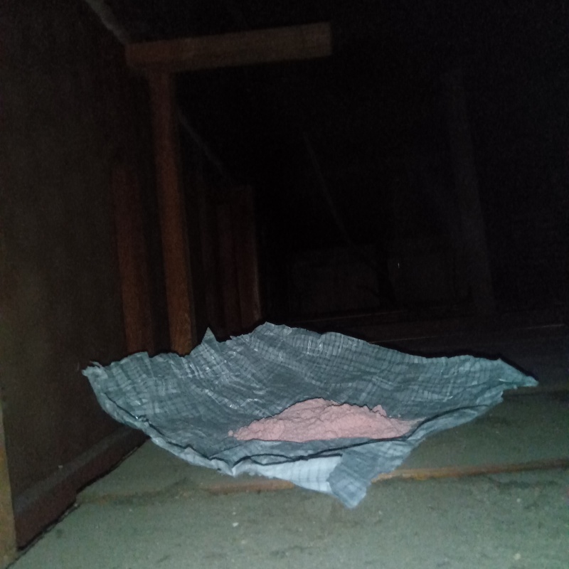 屋根裏に殺鼠剤を設置