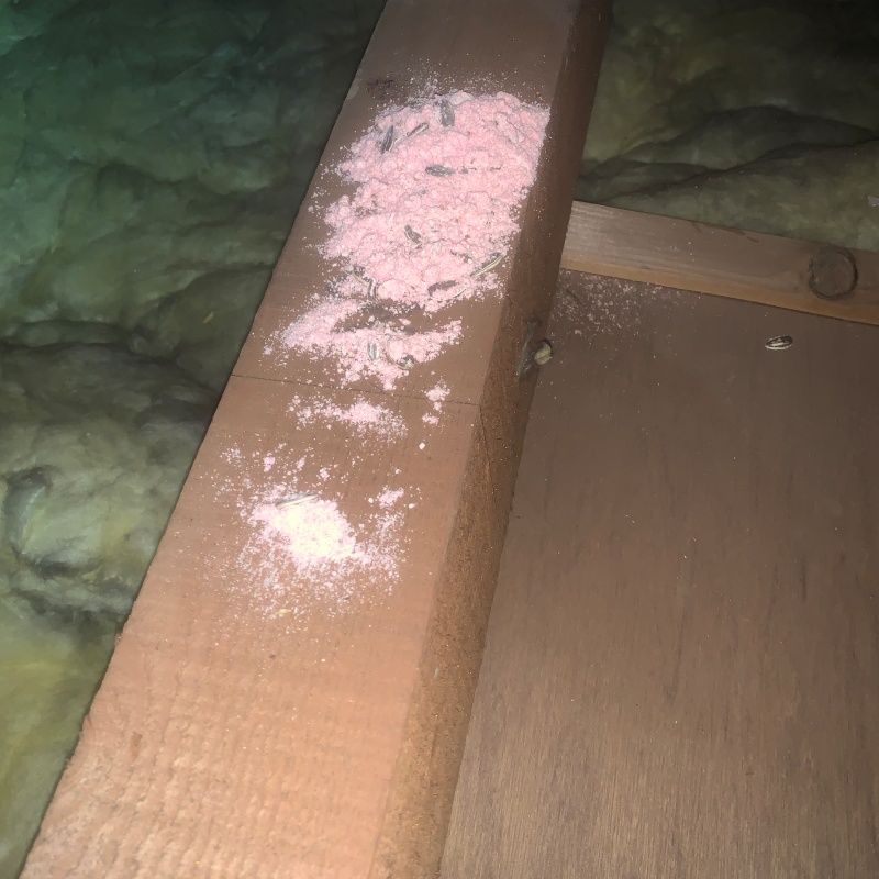 柱の上に殺鼠剤を設置