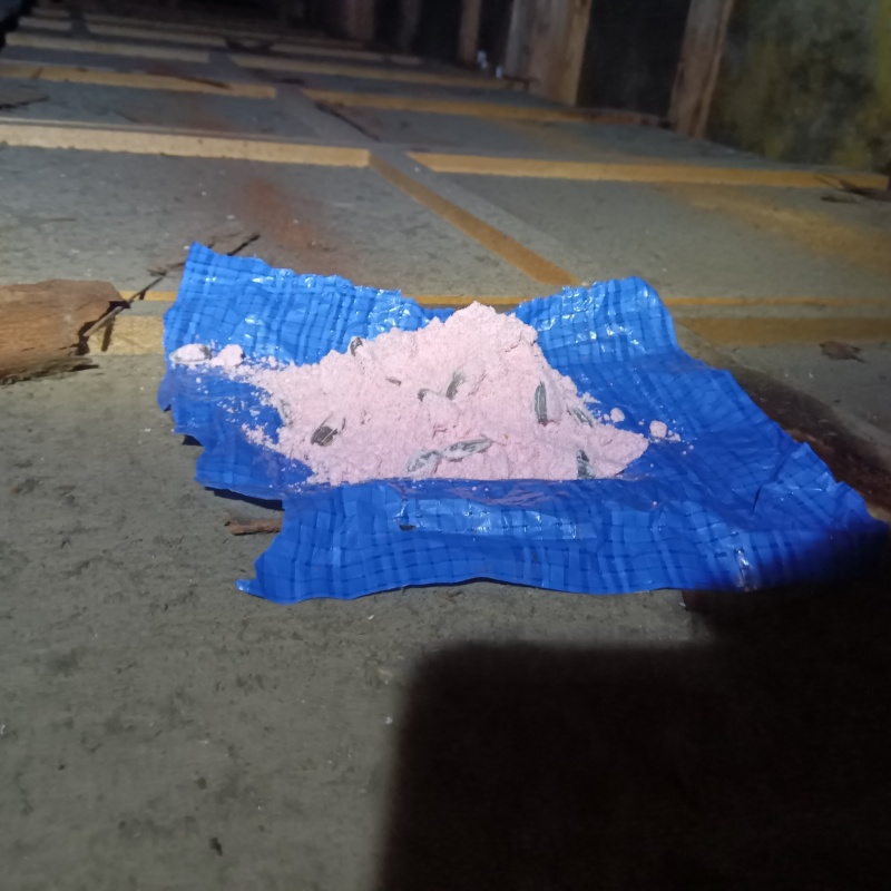 殺鼠剤を設置