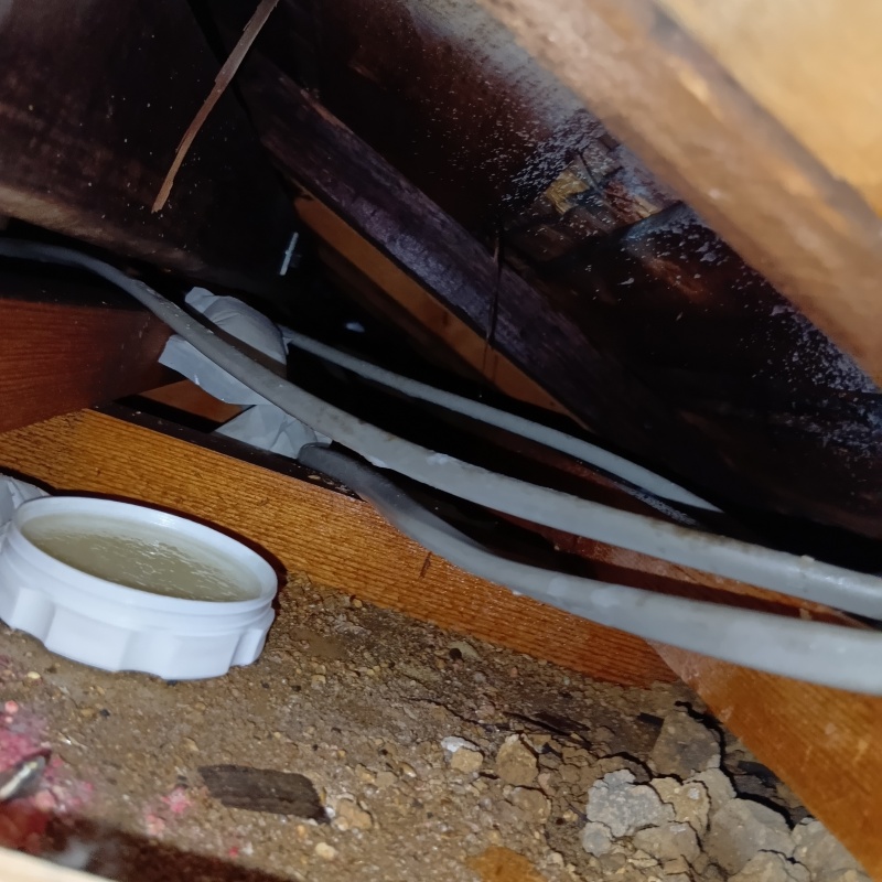 木くずなどが溜まった屋根裏