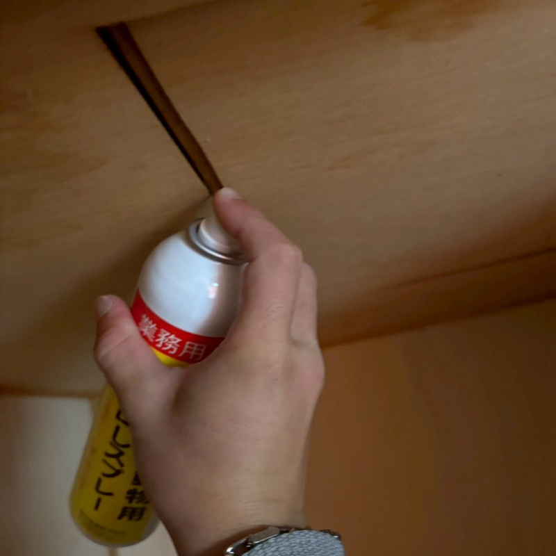 天井の点検口から忌避剤をスプレー
