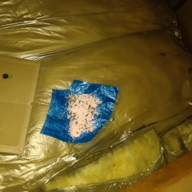 殺鼠剤を設置