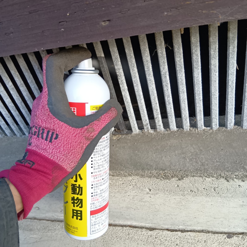 床下換気口から内部に忌避剤をスプレー