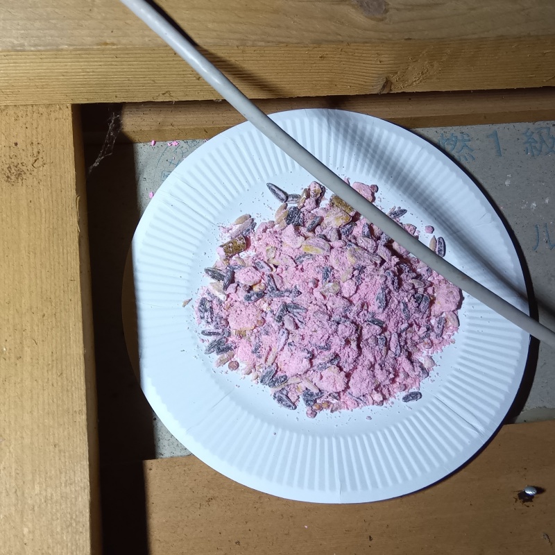 殺鼠剤を設置