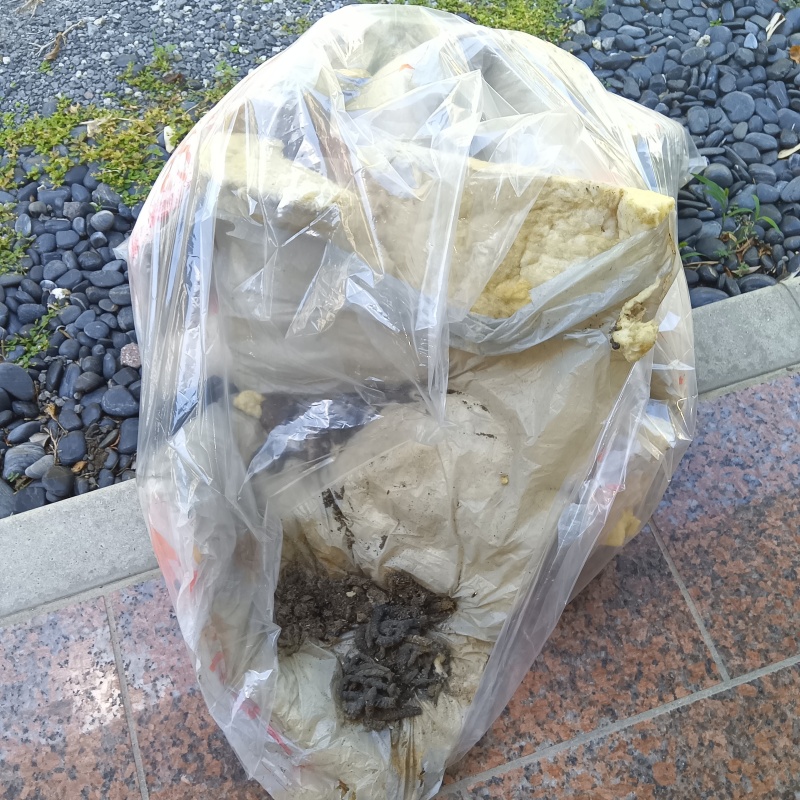 汚れた断熱材などを回収したあと