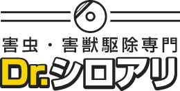 引用_Dr.シロアリ