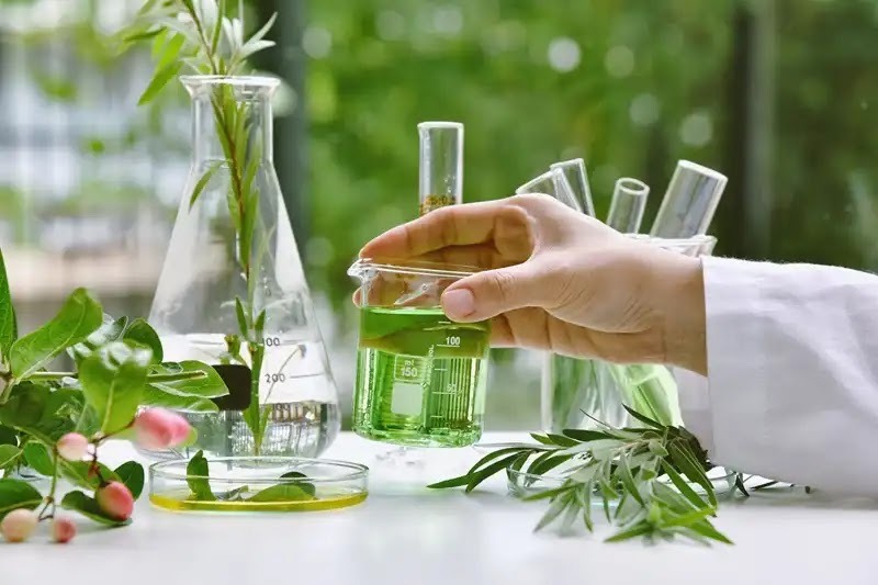 シロアリ駆除剤は人体には安全性が高い