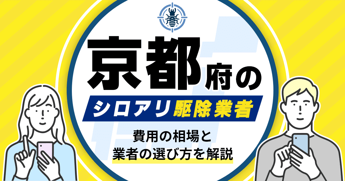 京都府のシロアリ駆除業者おすすめ8選！駆除費用相場や業者の選び方のポイントについても解説