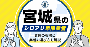 宮城県のシロアリ駆除業者おすすめ8選！駆除費用相場や業者の選び方のポイントについても解説