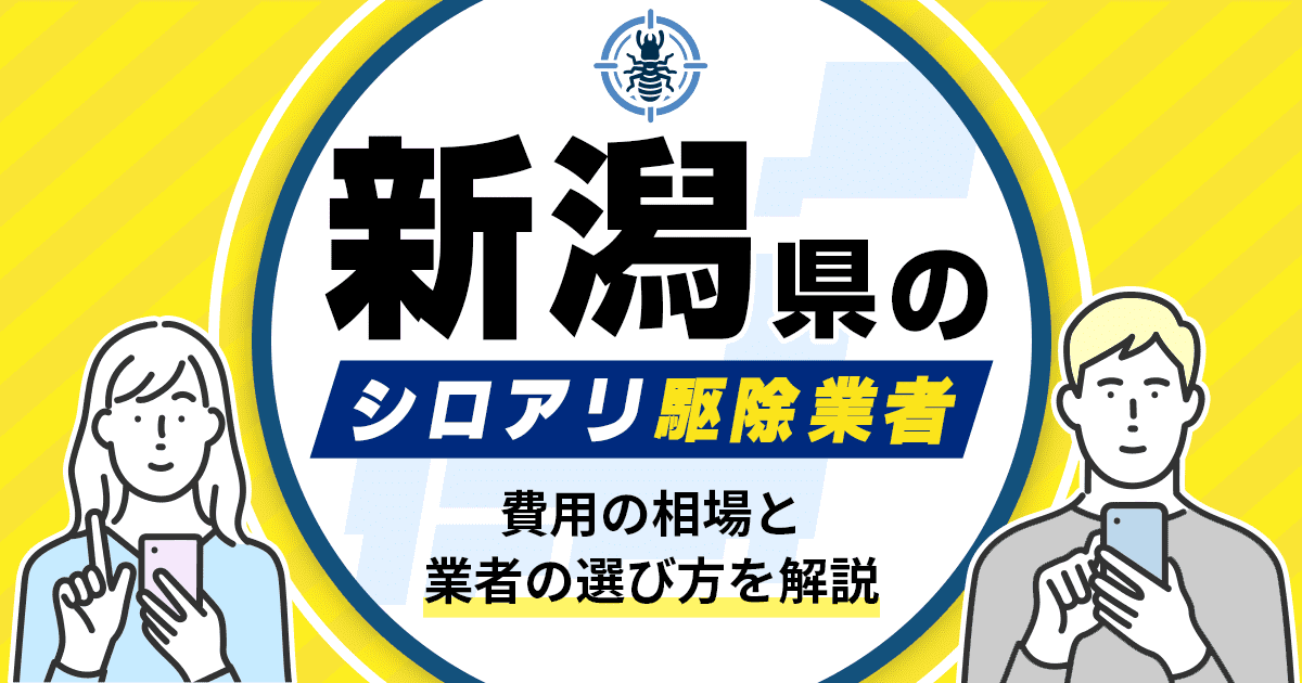 新潟県のシロアリ駆除業者おすすめ10選！駆除費用相場や業者の選び方のポイントについても解説