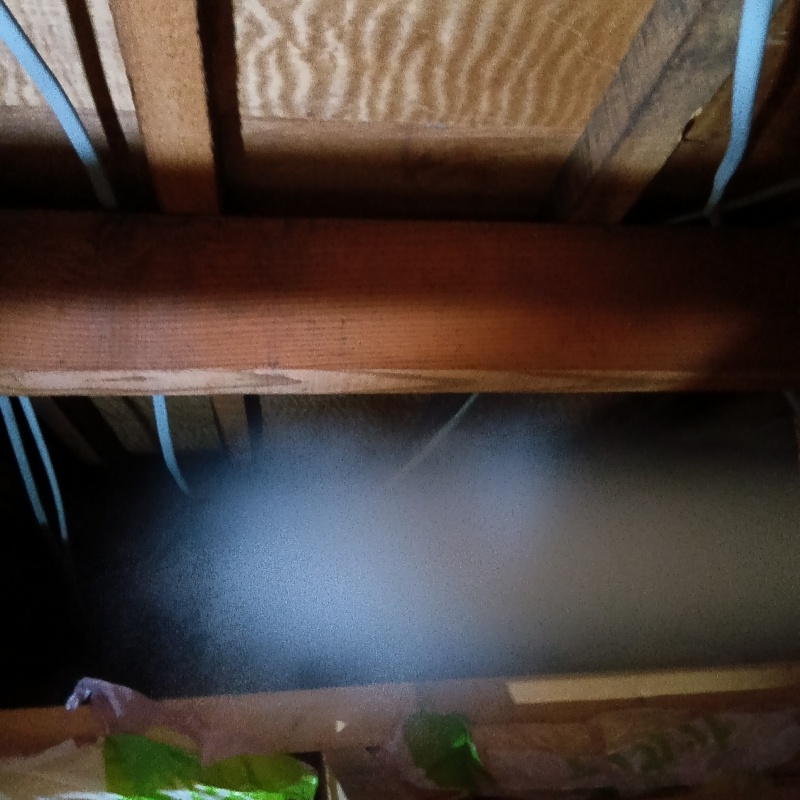 屋根裏に忌避剤をスプレー