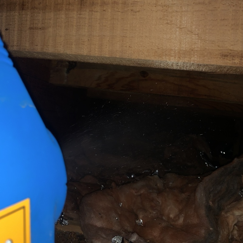 屋根裏に除菌剤を散布