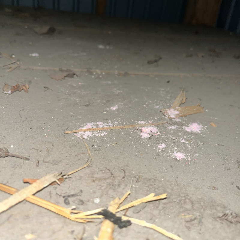 食べられた殺鼠剤