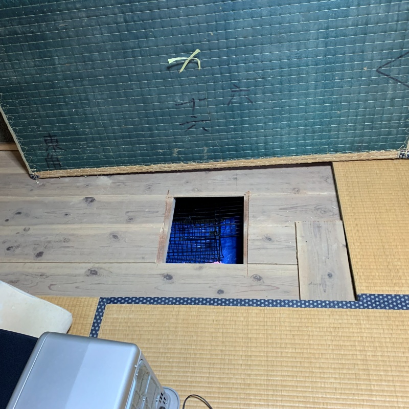 和室の床を切り抜いた様子