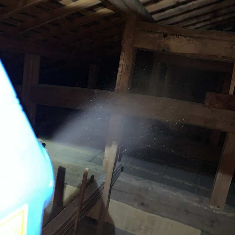 噴霧器で除菌・消臭剤を散布