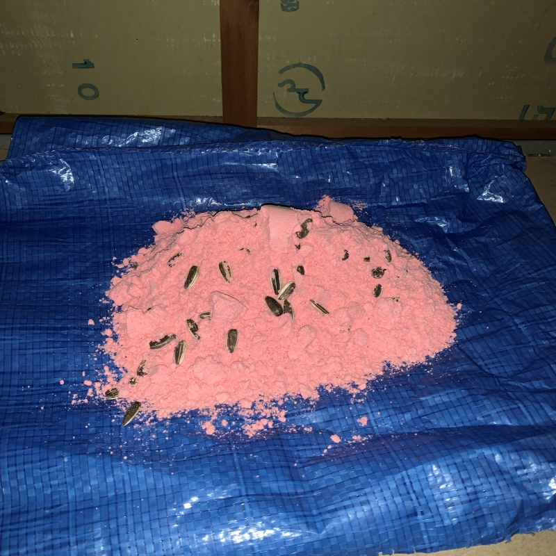 屋根裏に殺鼠剤を設置した様子