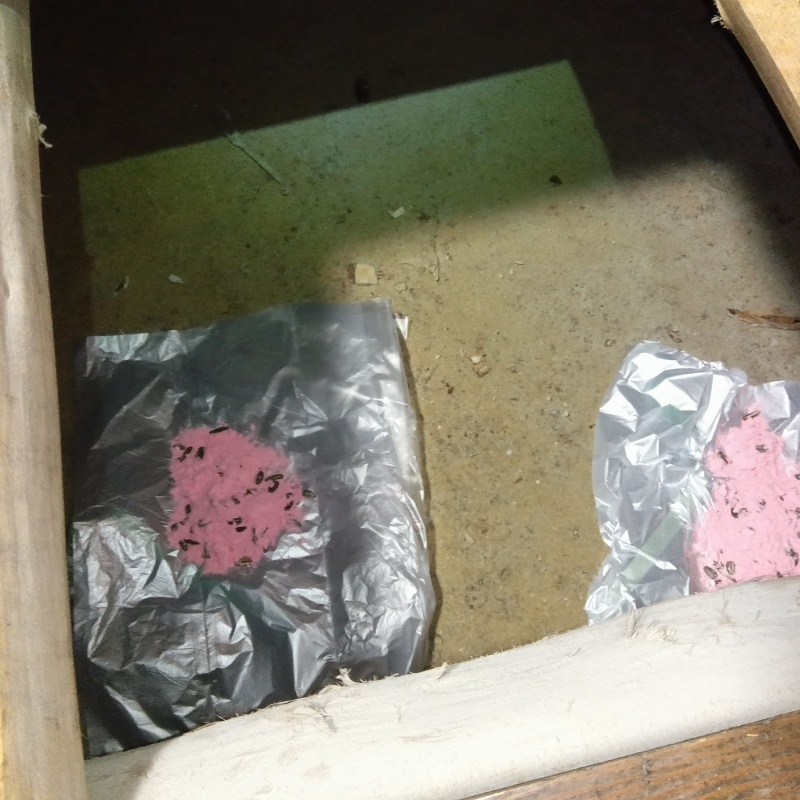 床下に殺鼠剤を設置