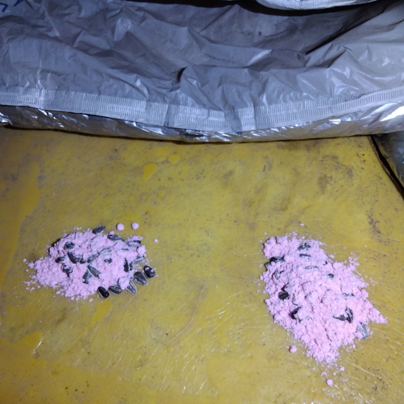 殺鼠剤を設置