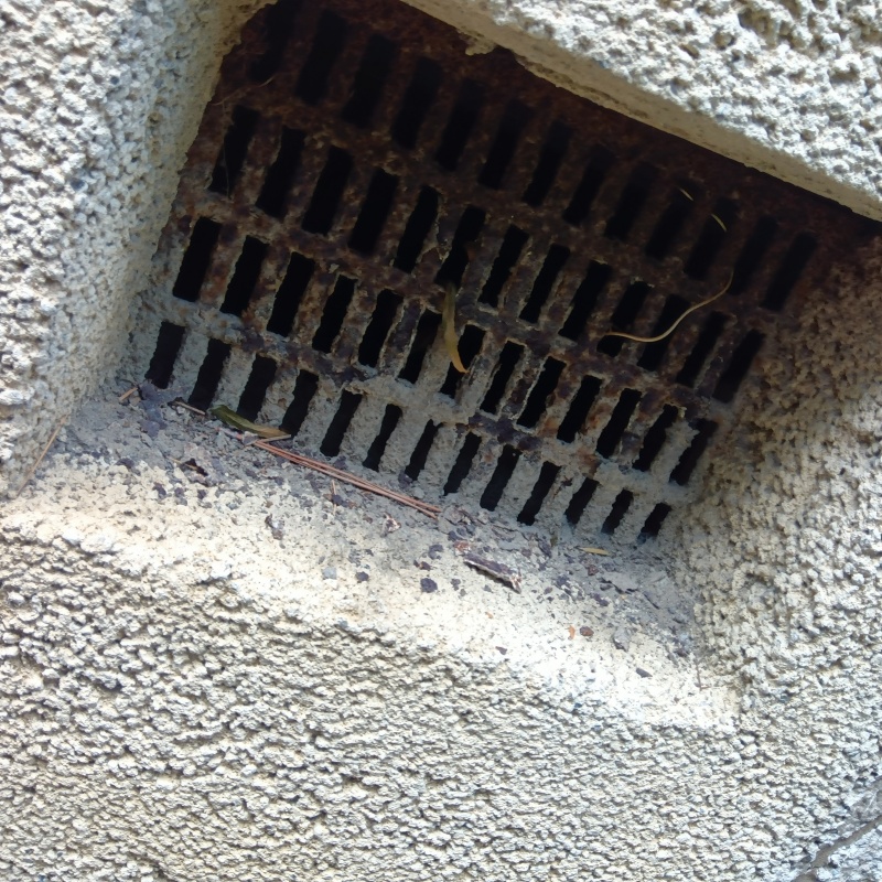 侵入口となっている床下換気口