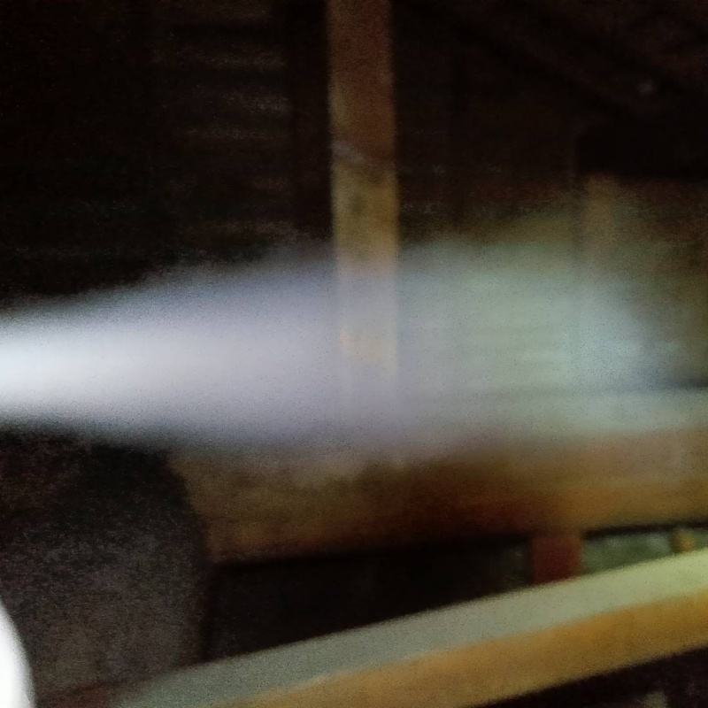 屋根裏に忌避剤をスプレー