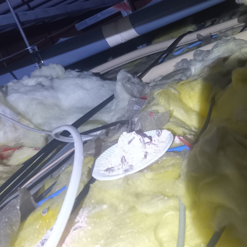 殺鼠剤を仕掛けている様子