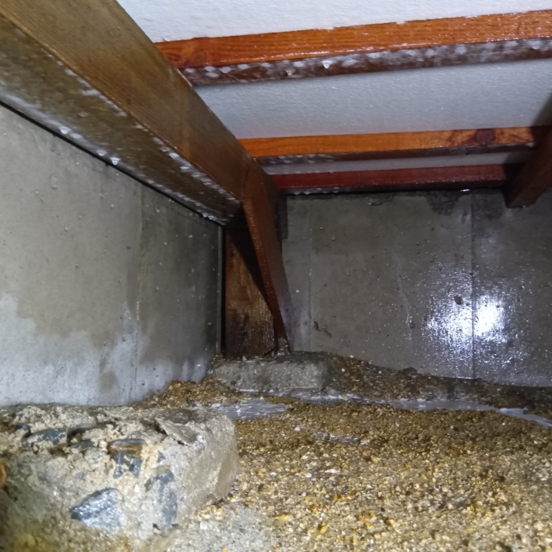 床下の土壌・基礎にシロアリ駆除剤を散布