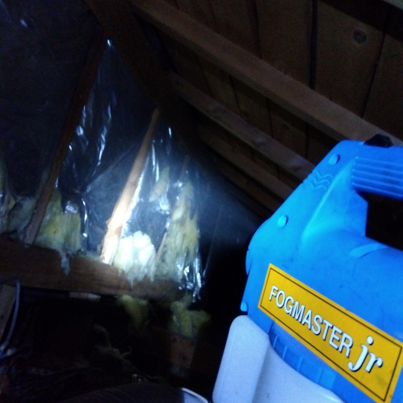 噴霧器で除菌・消臭剤を散布