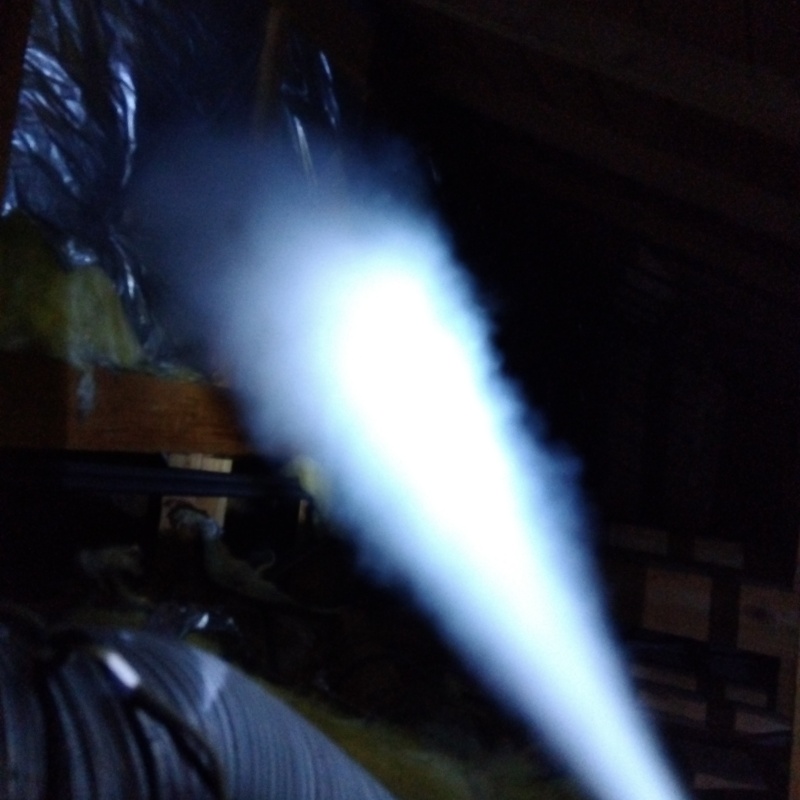 殺虫剤をスプレー