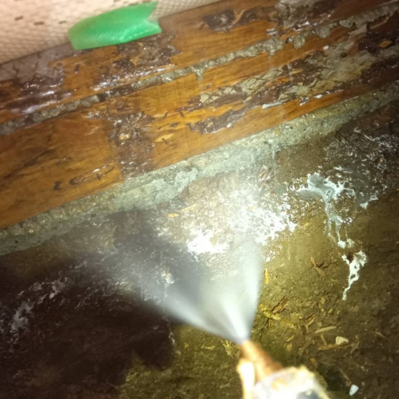 床下の基礎部分にシロアリ駆除剤を散布する様子