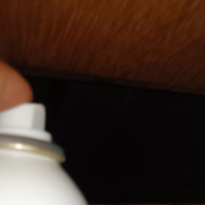 天井裏に忌避剤をスプレー