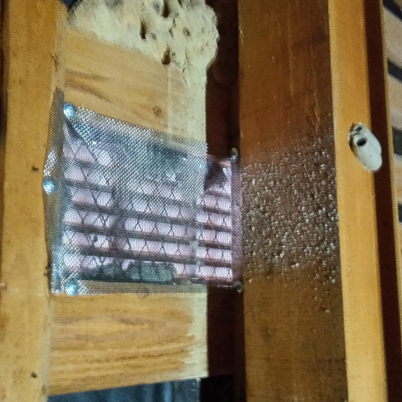 床下の開口部を封鎖