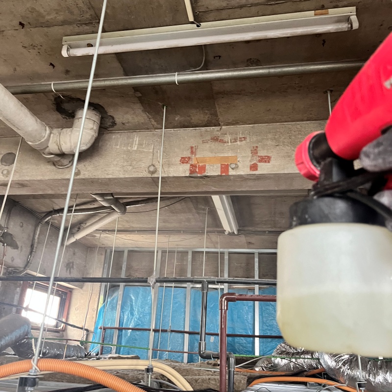 噴霧器で除菌・消臭剤を散布