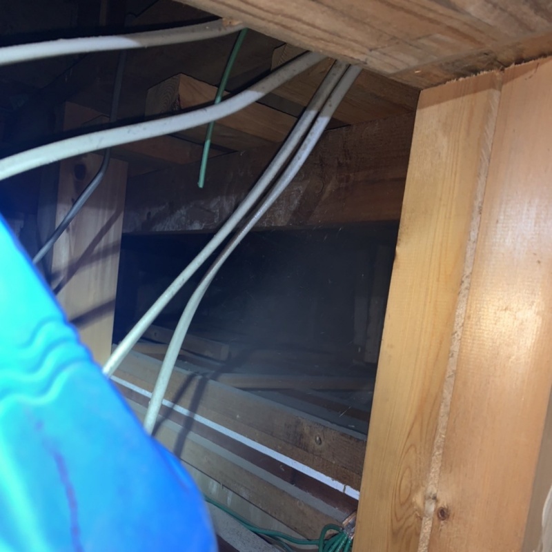 天井裏を噴霧器で除菌・消臭