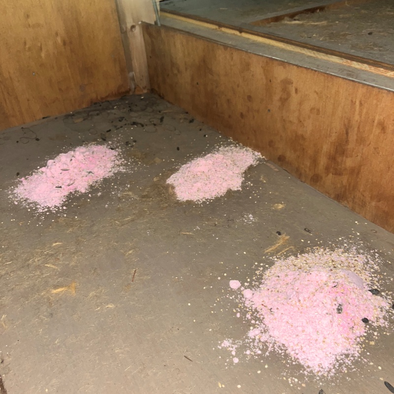 床下に殺鼠剤を設置