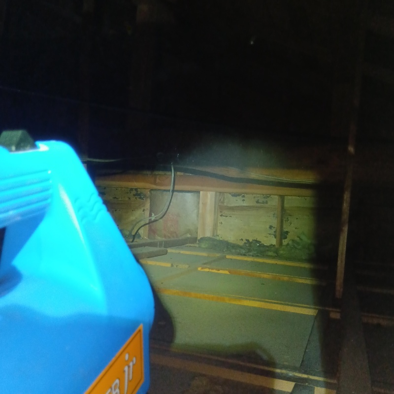 噴霧器で殺虫剤を散布