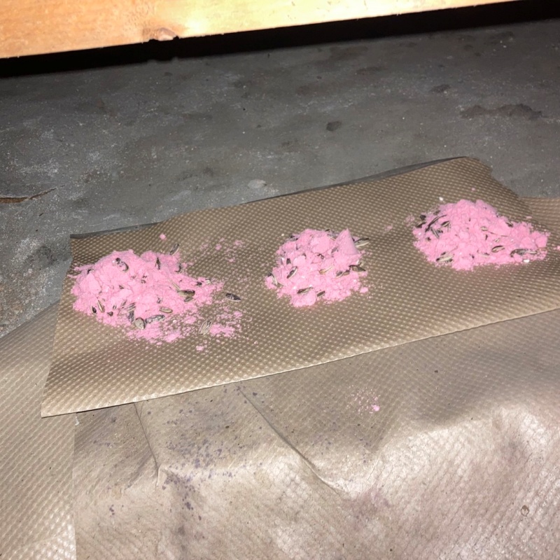 床下に殺鼠剤を設置