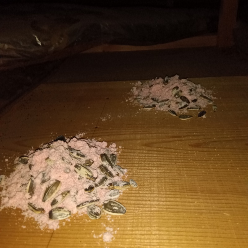 殺鼠剤を設置