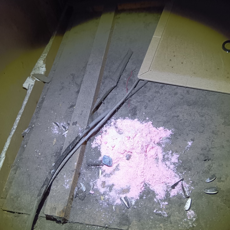 天井裏に殺鼠剤を設置