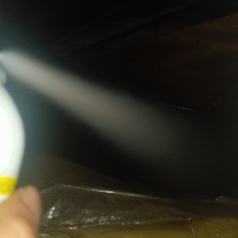 忌避剤を吹き付けている様子
