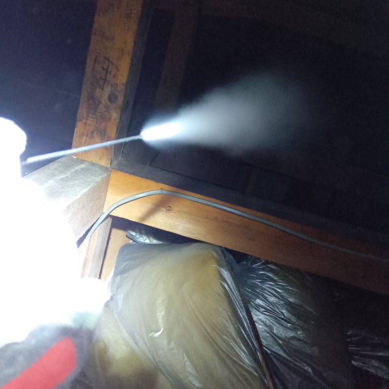 殺虫剤をスプレー