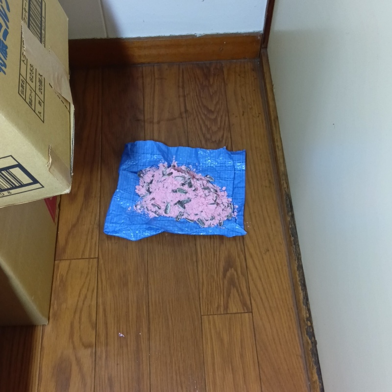 室内に殺鼠剤を設置