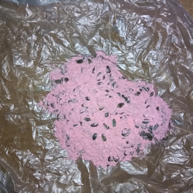 殺鼠剤を設置