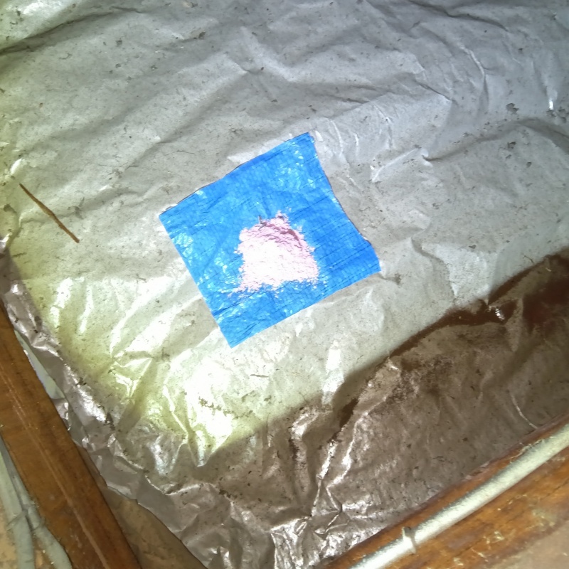 屋根裏に殺鼠剤を設置