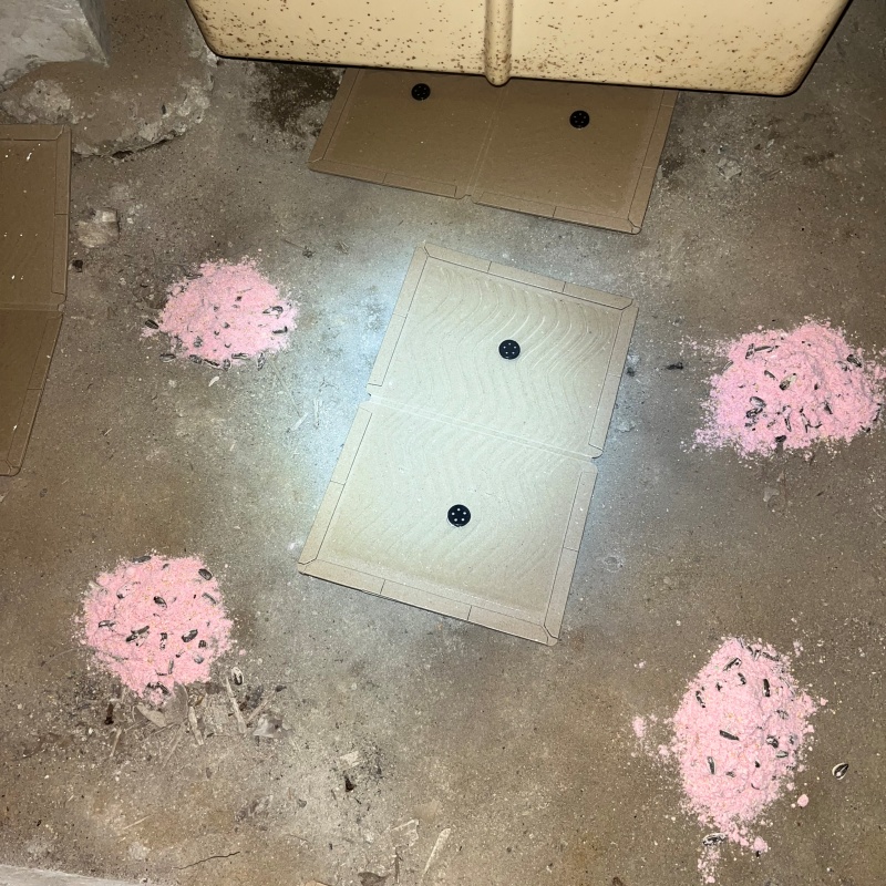 ネズミ駆除の施工事例（神奈川県鎌倉市城廻）